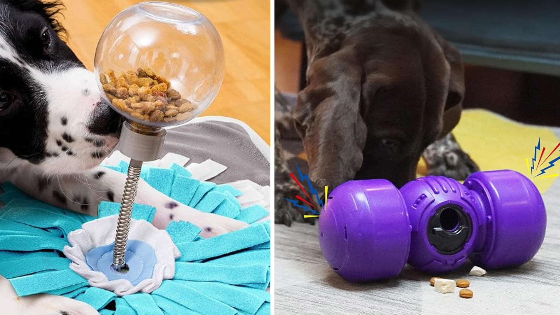 14 Of The Best Interactive Dog Toys To Stimulate Your Dog's Mind
