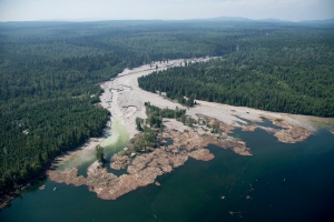Contents from a tailings pond is pictured going down the Hazeltine Creek into Quesnel Lake near the town of Likely, B.C. on August, 5, 2014. (Jonathan Hayward/THE CANADIAN PRESS)
