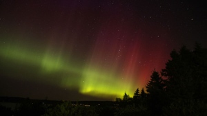 The northern lights as seen from Point La Nim, N.B. (Jim Clifford / MyNews)