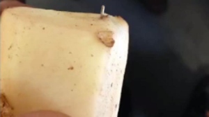 Police in Prince Edward Island are investigating a possible case of food tampering after metal objects were found inside potatoes. (Bruce Budgell)