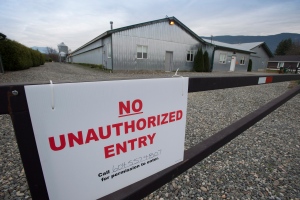 A poultry farm under quarantine because of a outbreak of avian influenza is pictured in Chilliwack, B.C. Thursday, Dec. 4, 2014. (Jonathan Hayward / THE CANADIAN PRESS)