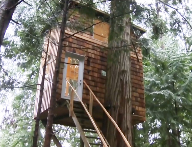 Man lives in B.C. treehouse