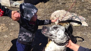 Duke the dog helped save this toddler and two men from a burning house, on Pinaymootang First Nation, on April 11, 2015.