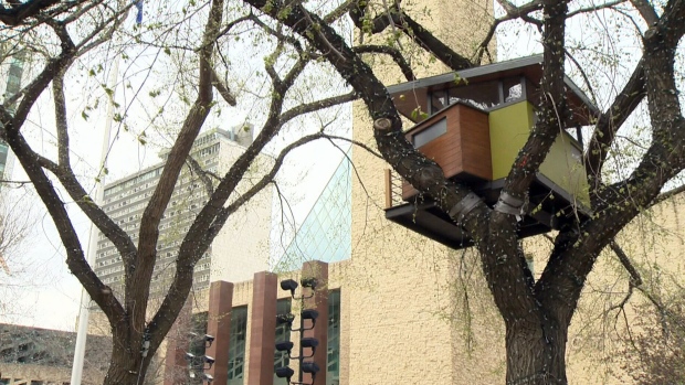 Artists mount Edmonton-style treehouses