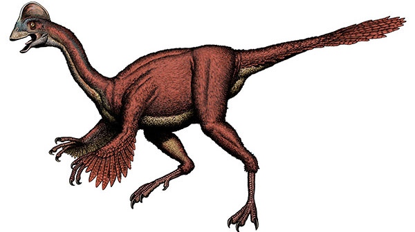 Feathered Dionsaur