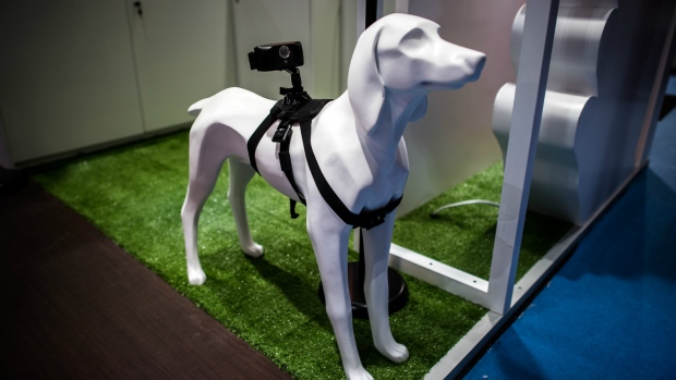 Smartphone for dogs