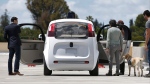 Google's self-driving prototype car is seen in Mountain View, Calif., on Wednesday, May 13, 2015. (AP Photo/Tony Avelar)