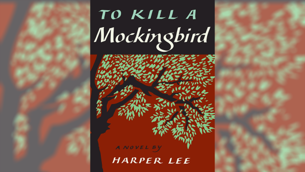 Social Injustice To Kill a Mockingbird
