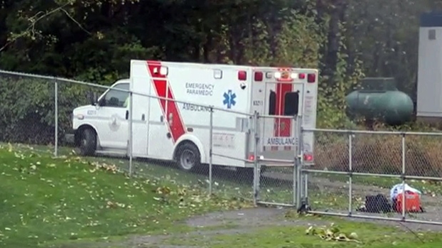 Teen boy killed in Surrey, BC as tree topples during high winds: police - CTV News