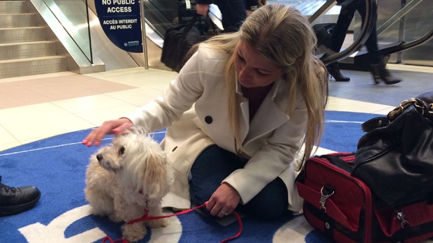 Vancouver woman reunited with stolen dog after 3 years, animal found in Winnipeg - CTV News