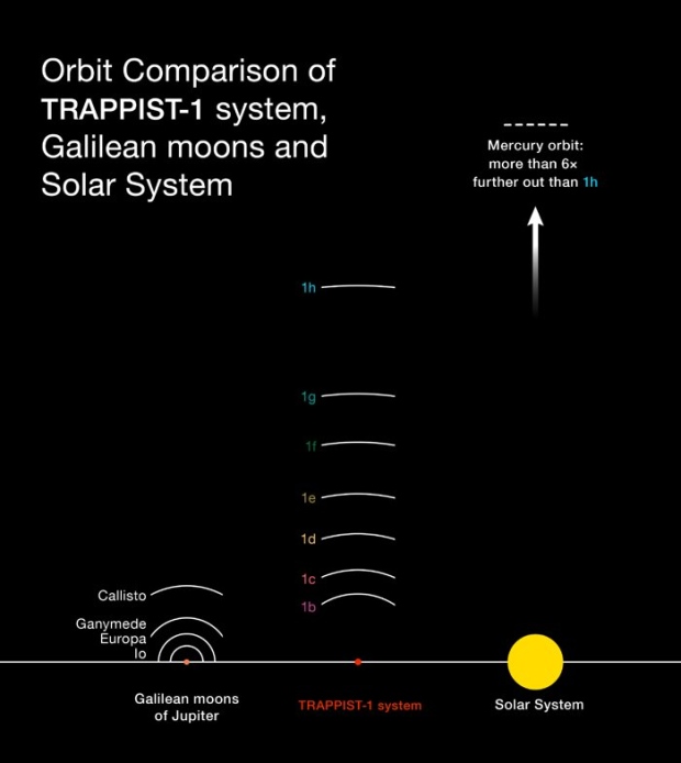 TRAPPIST-1 orbits