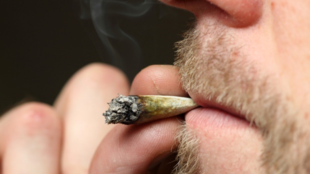 High-Potency Blowtorch Marijuana Gaining Ground