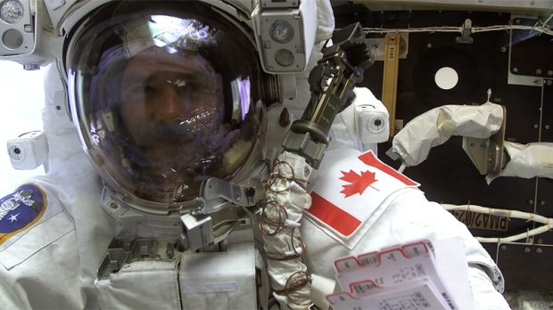 The Canadian Astronaut Program