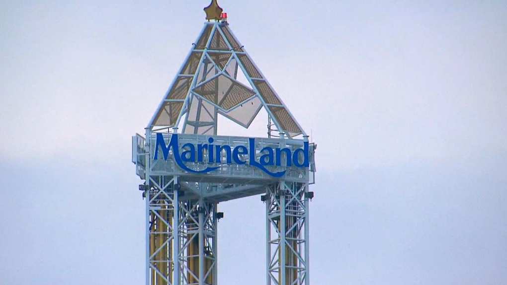 Crown not pursuing animal cruelty charge against Marineland