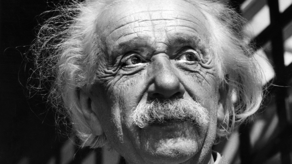 The Man Who Stole Einstein's Brain among Hot Doc premiers
