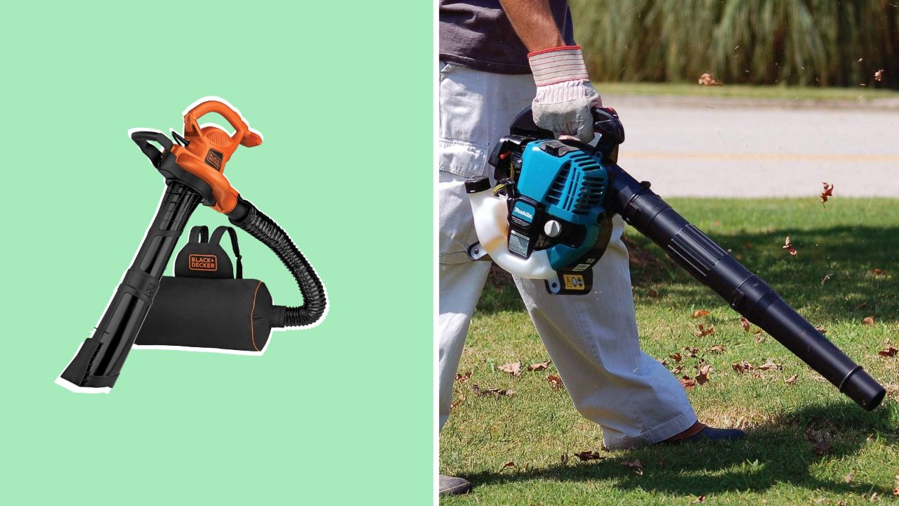 Our Guide to the Best Leaf Blowers in Canada in 2024 (And Where to Get Them)