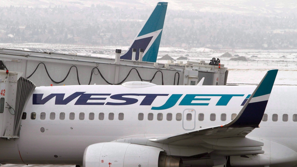 WestJet customers offered 7.5-hour bus ride to destination after flight cancelled
