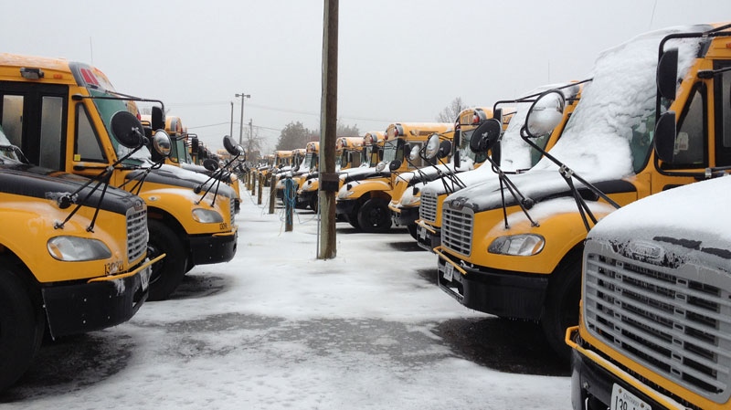 Elgin County school buses cancelled for the day, schools remain open