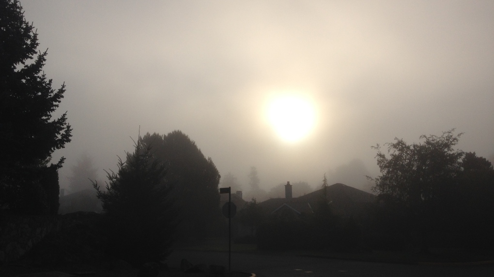 Vancouver Island under fog advisory, with 'near-zero' visibility in some areas