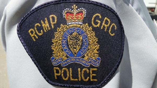 N.B. man dead after vehicle crashed into trees
