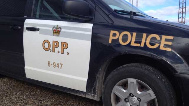 Disturbance call leads to discovery of multiple weapons: Middlesex OPP