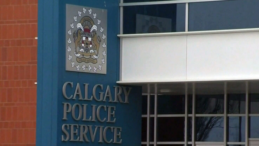 Calgary man accused of abusing dog he was fostering