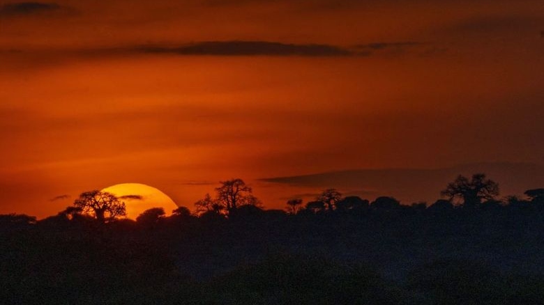 The sun sets on Tanzania's Tarangire National Park on Saturday July 6, 2019. Jerome Delay / THE ASSOCIATED PRESS	
