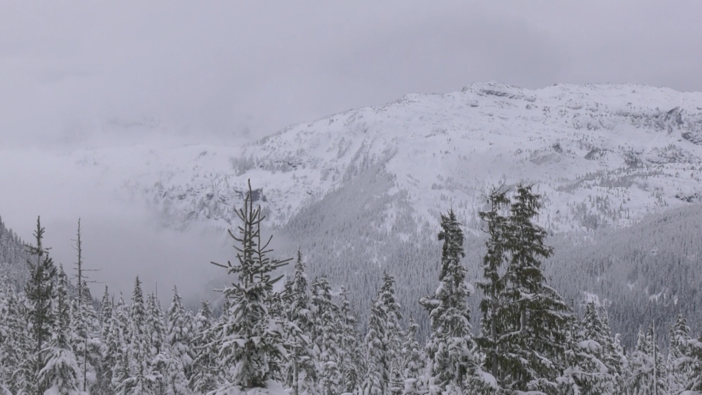 Avalanche risks increase on Vancouver Island as rain warnings remain active