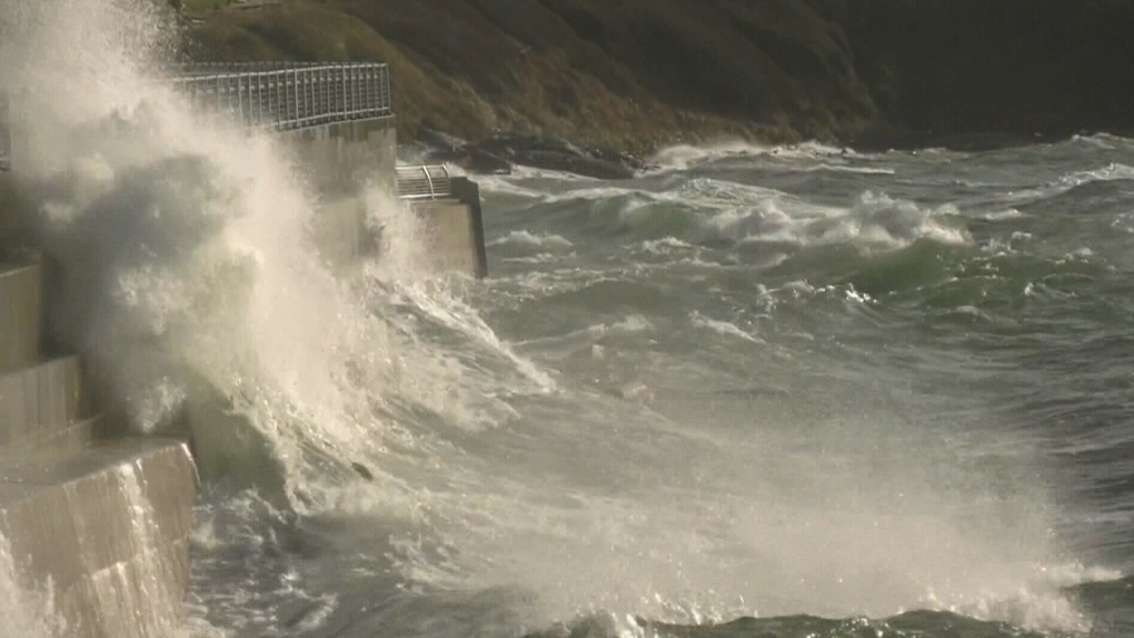 Power outages hit Vancouver Island as Environment Canada forecasts winds up to 110 km/h