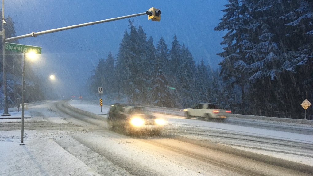 Buses cancelled, schools closed as another snowstorm hits Vancouver Island