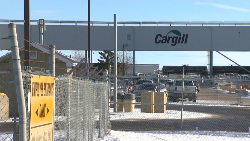 Pekerja pabrik pengolahan daging sapi High River Cargill memilih 71 persen mendukung kesepakatan baru