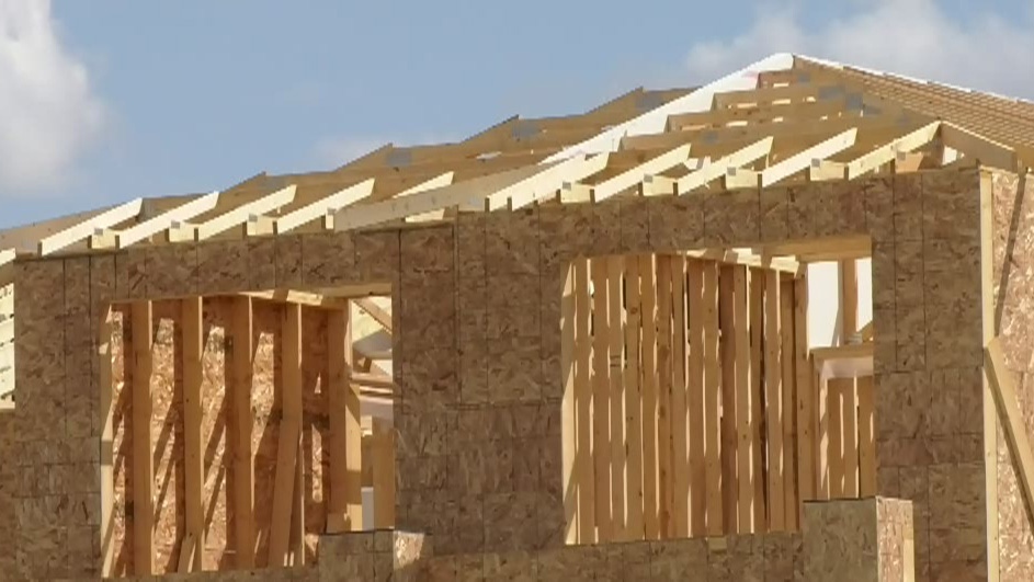 Lumber charges, what an analyst suggests Canadians ought to know