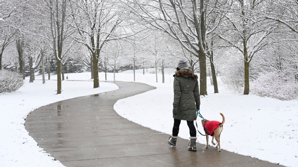 A woman walks a dog during a snowy day in Toronto, April 21, 2021. THE CANADIAN PRESS/Frank Gunn
