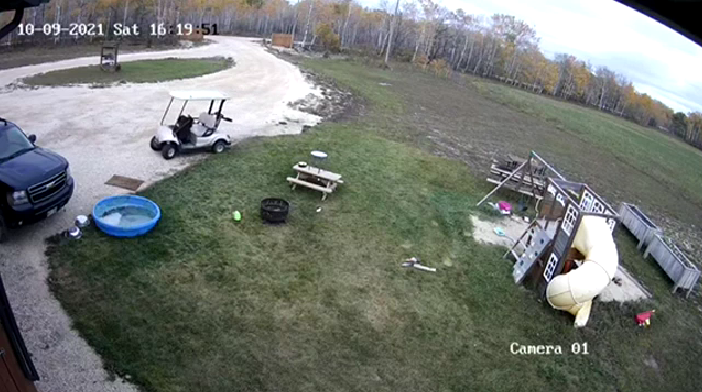 Video pengawasan menunjukkan anjing mengambil kereta golf untuk perjalanan yang menyenangkan