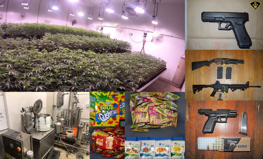 $32M in illegal cannabis seized in southwestern Ontario, 21 charged in joint bust