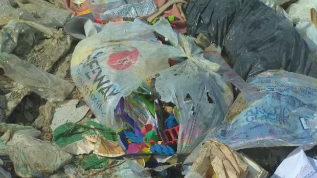 Dokumen City of Edmonton memberikan detail baru tentang kantong plastik, sedotan plastik, larangan styrofoam