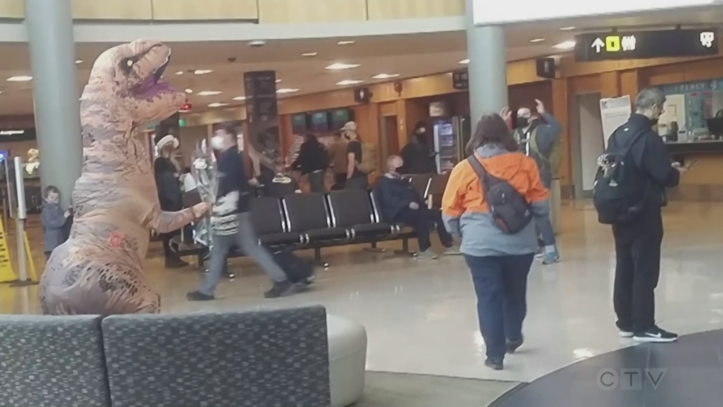 The love story behind a dinosaur holding a bouquet caught on camera at Victoria International Airport