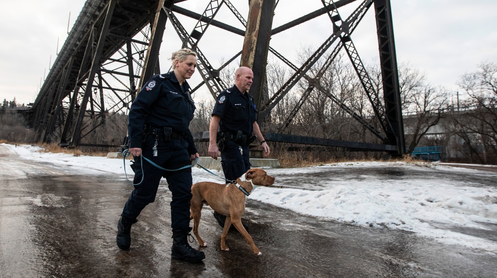 Contoh unit investigasi kekejaman hewan Edmonton untuk layanan kepolisian lainnya