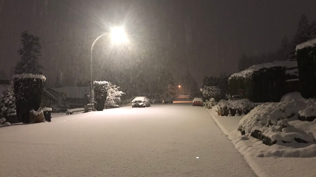 Vancouver Island snowstorm leaves thousands without power, schools closed
