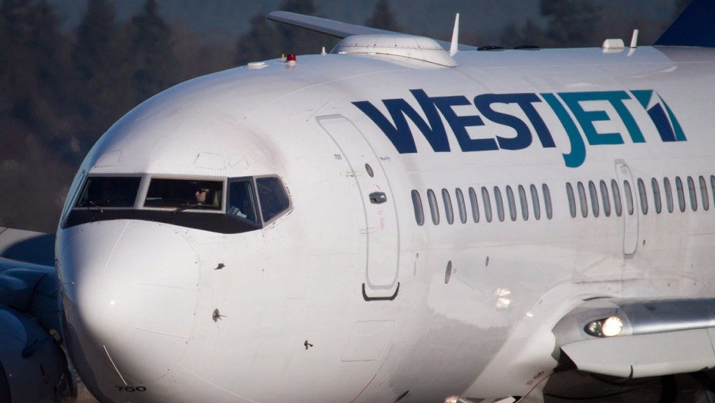 Een WestJet-vlucht naar Winnipeg werd omgeleid nadat een passagier probeerde de deur te openen