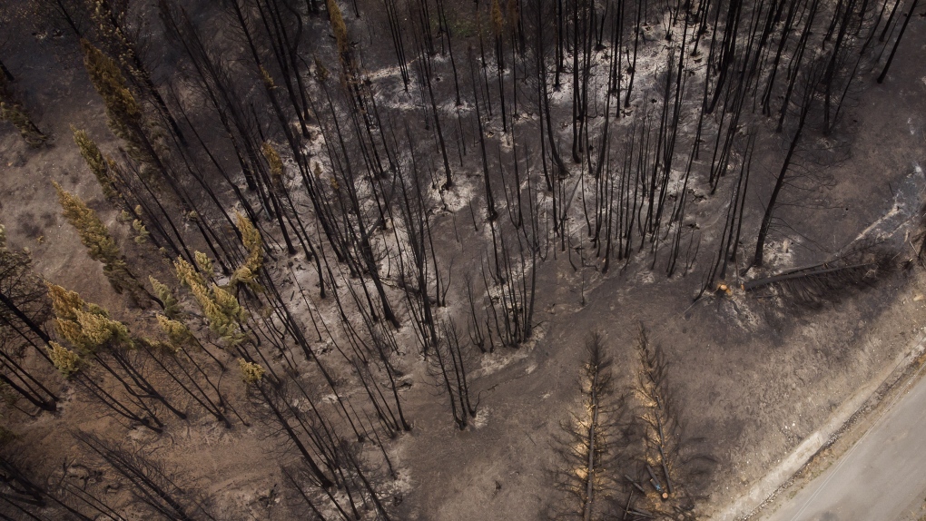 Massive B.C. wildfire caused $77M in damage, insurance bureau says