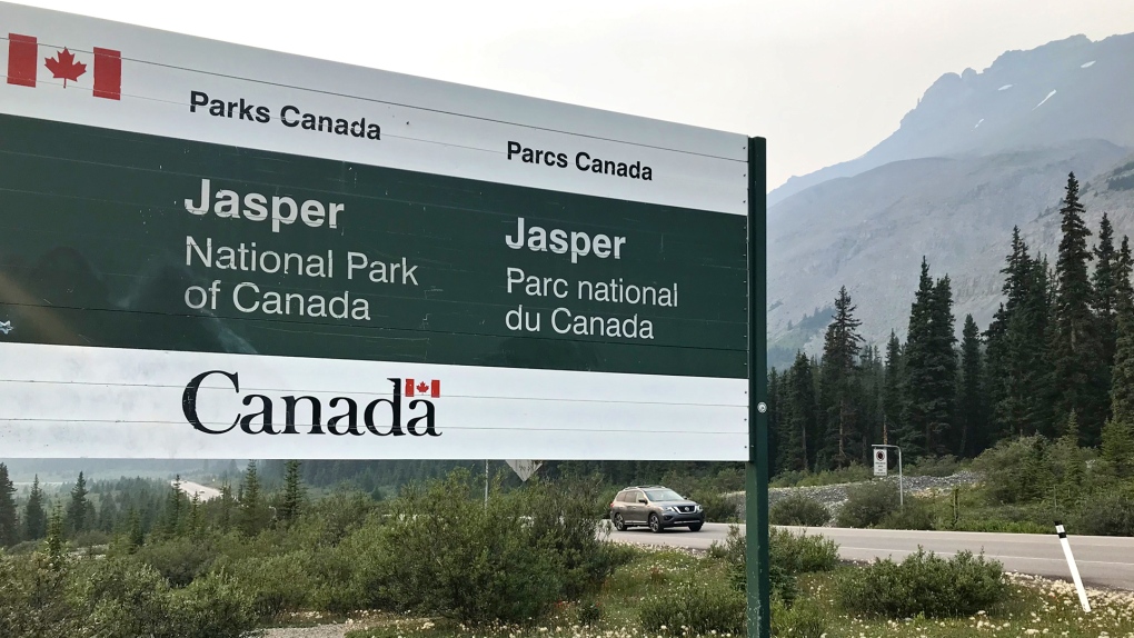 Bear that killed dog destroyed due to 'very concerning' and 'predatory' behaviour: Jasper National Park