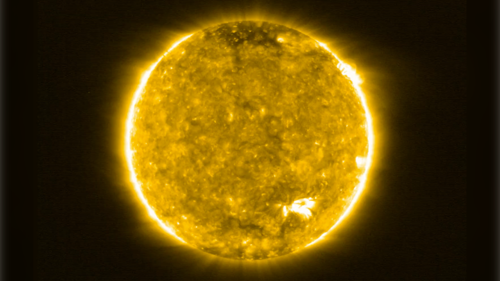 The Extreme Ultraviolet Imager (EUI) on ESA’s Solar Orbiter spacecraft took this image on 30 May 2020. (Solar Orbiter/EUI Team/ ESA & NASA; CSL, IAS, MPS, PMOD/WRC, ROB, UCL/MSSL)