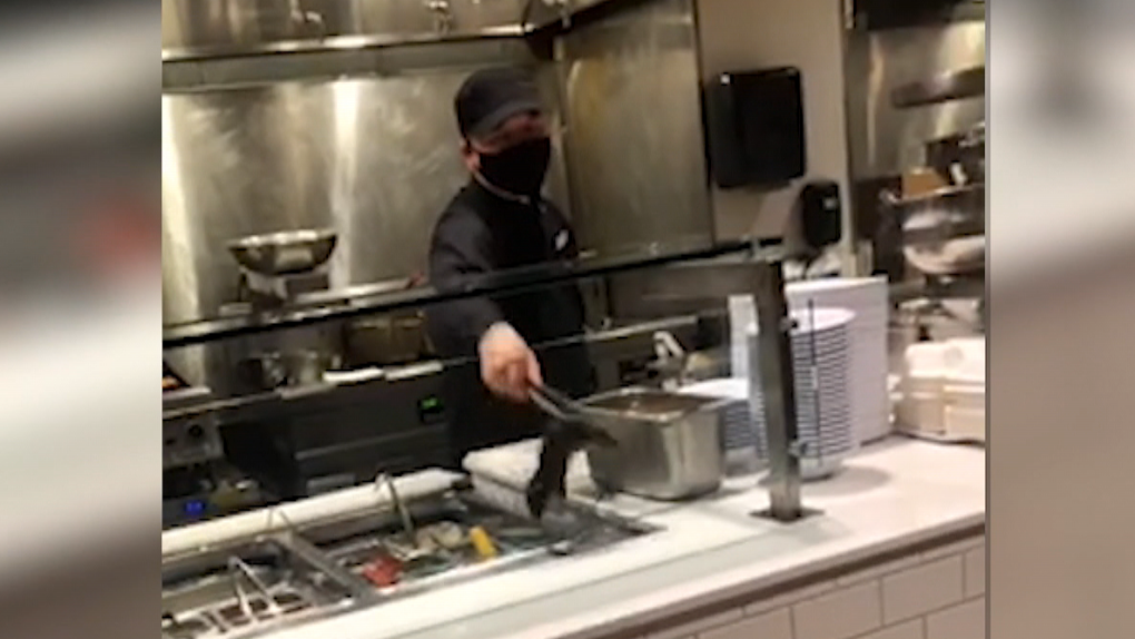 ‘Sangat menjijikkan’: Tikus terlihat di dekat makanan di kafetaria UBC