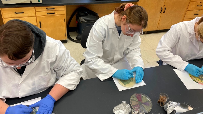 Painting with bacteria: Students from Sask. Polytech create art in petri dish canvases