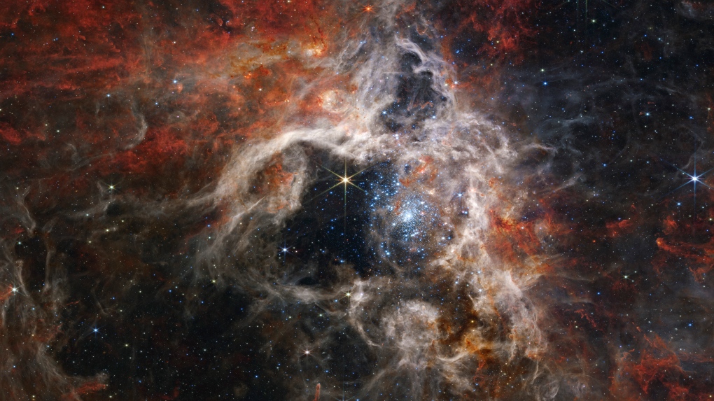James Webb Area Telescope leaves scientists starry-eyed