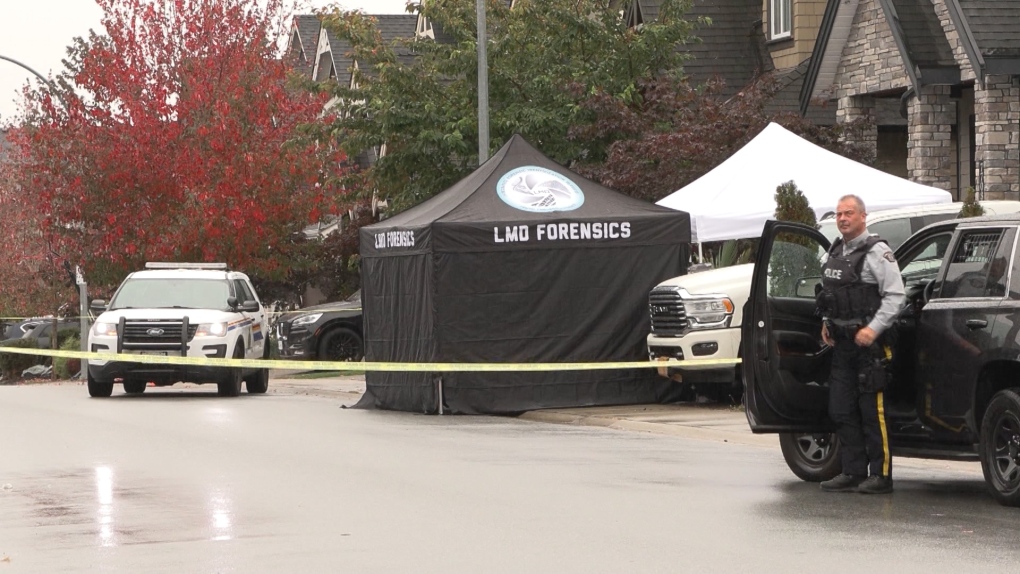 Langley news: Fatal shooting under investigation

 | Media Pyro
