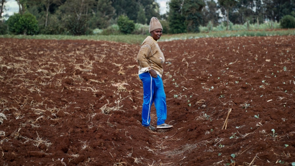 Farmer Monicah Wanjiku walks around her farm in Kiambu, near Nairobi, in Kenya, on March 31, 2022. (Brian Inganga / AP)