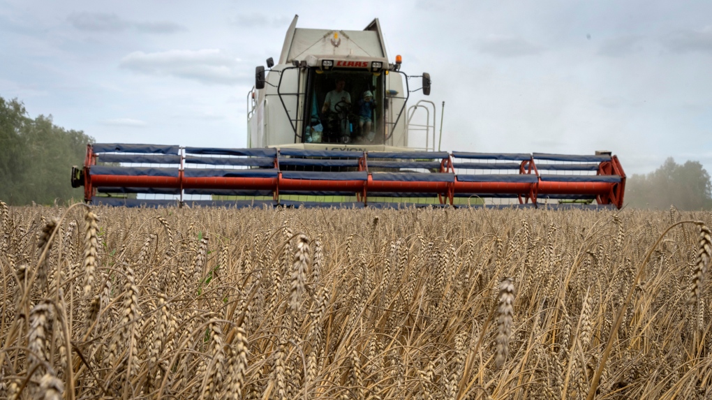 Ukraina: Apakah penarikan Rusia dari kesepakatan gandum mempengaruhi harga di Kanada?