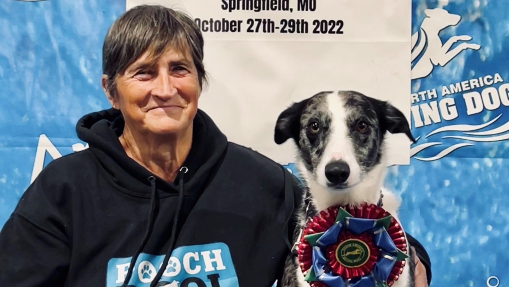 Diving dog from Vancouver Island wows at North American championships